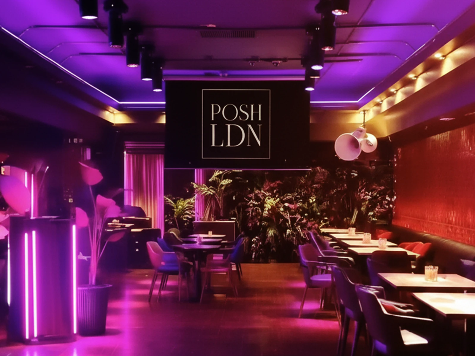 Inside POSH LDN — the venue
